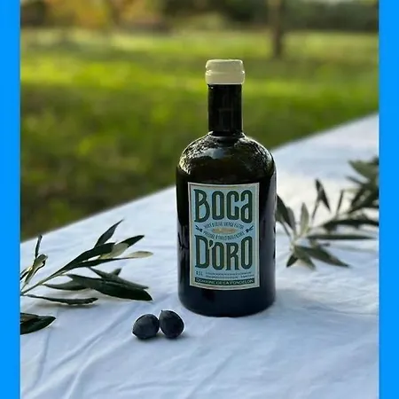 Superbe L'ecurie Xixeme Apartmán *